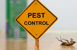 Pest Control Pest Control